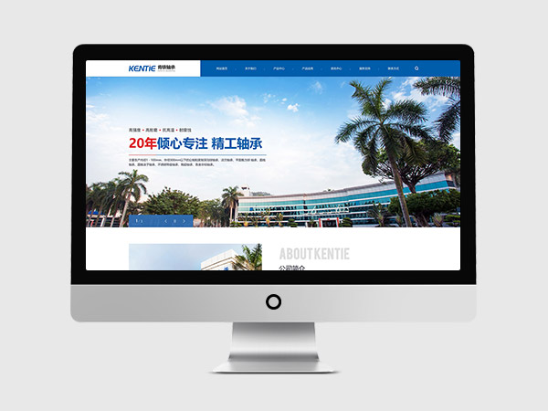 國產軸承品牌廠家